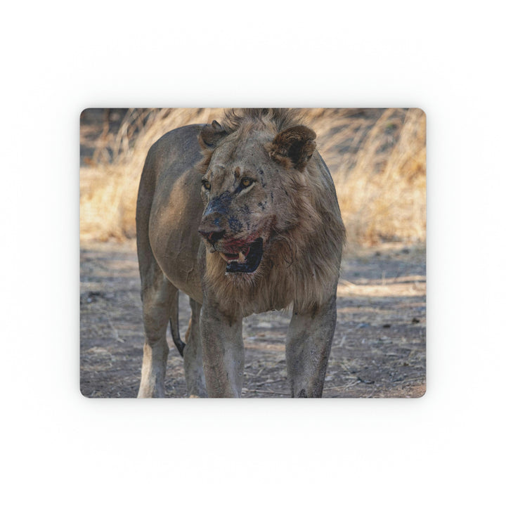 African Safari Lion Mouse Pad