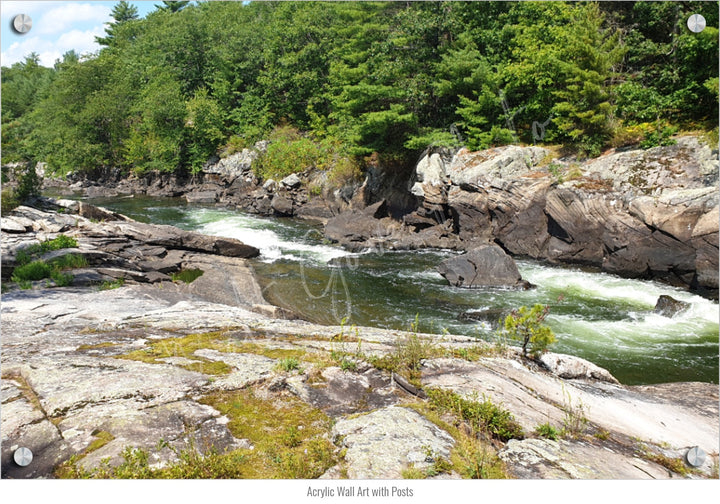 Wall Art: Dog Days on the River