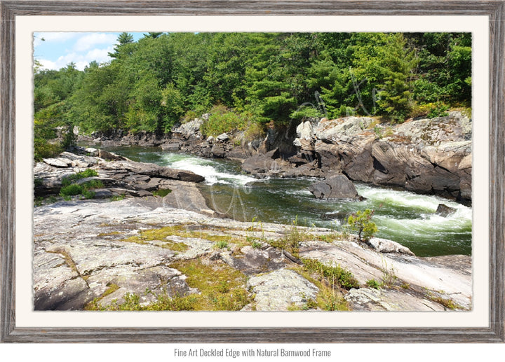 Wall Art: Dog Days on the River