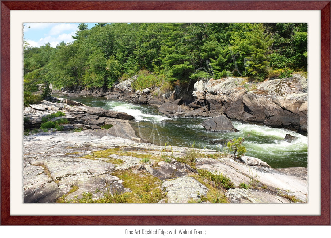 Wall Art: Dog Days on the River