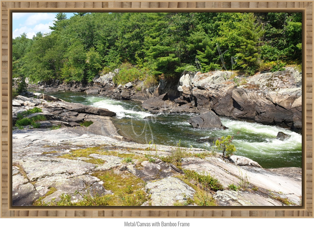 Dog Days on the River Wall Art