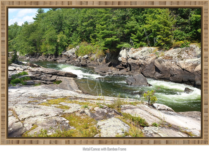 Dog Days on the River Wall Art