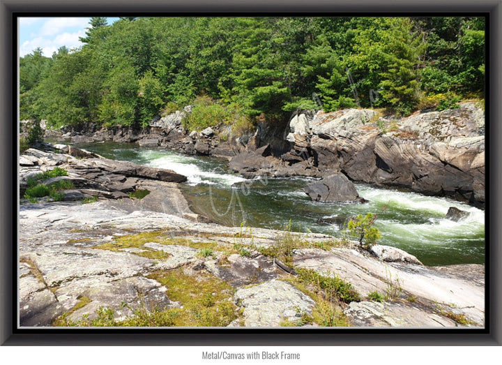 Wall Art: Dog Days on the River