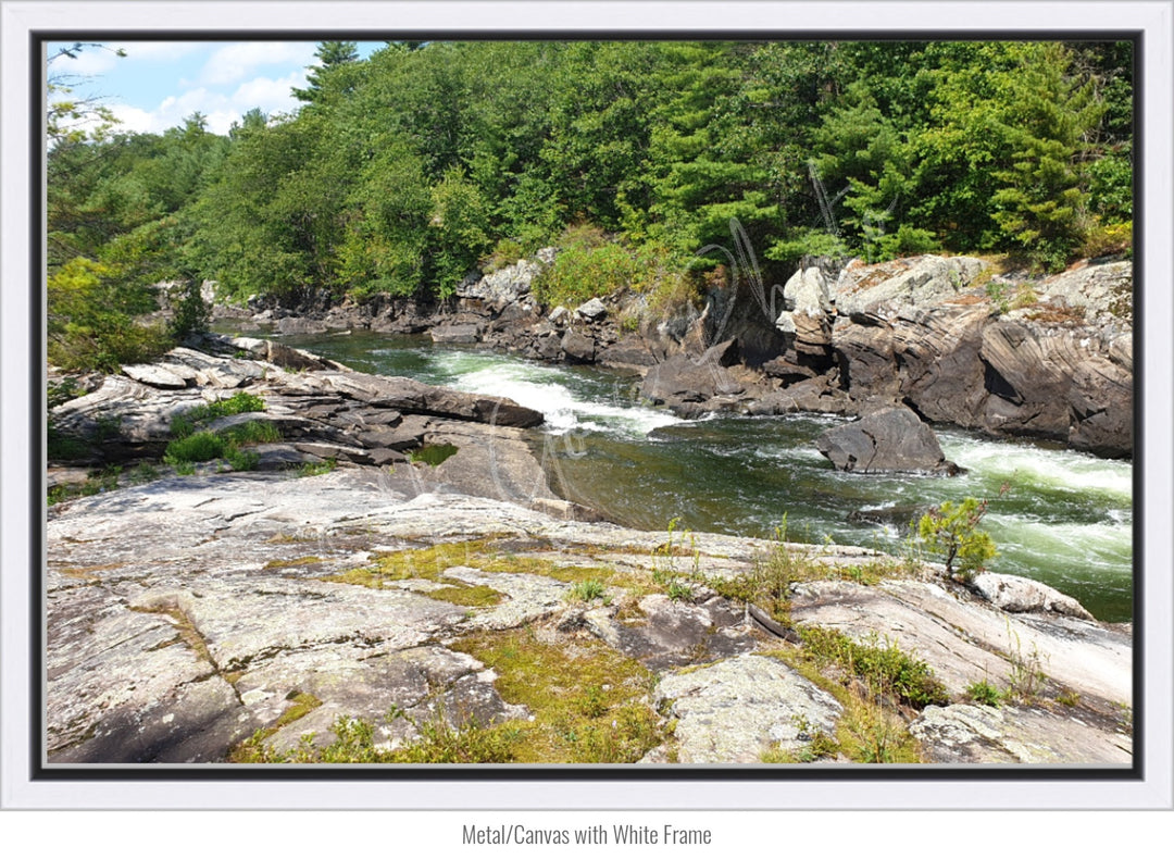 Dog Days on the River Wall Art