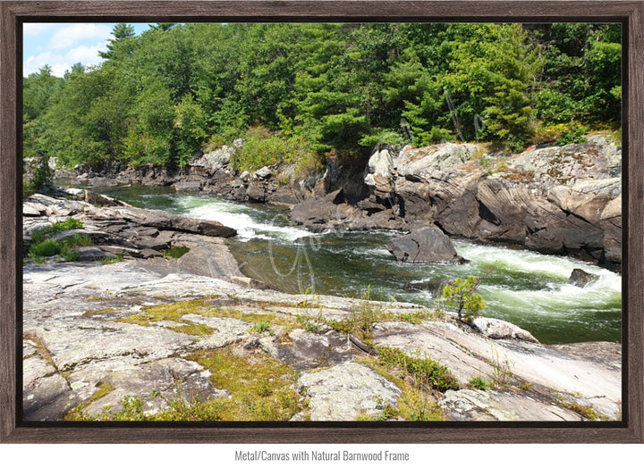 Dog Days on the River Wall Art