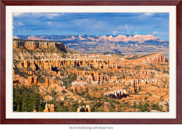 Wall Art: The Hoodoos at Bryce