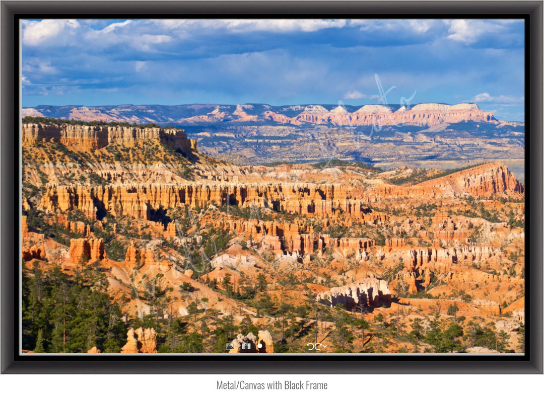 Wall Art: The Hoodoos at Bryce