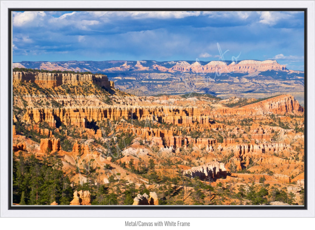 Wall Art: The Hoodoos at Bryce