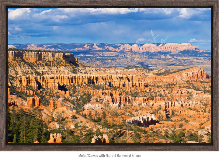 Wall Art: The Hoodoos at Bryce