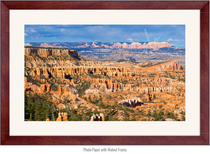 Wall Art: The Hoodoos at Bryce