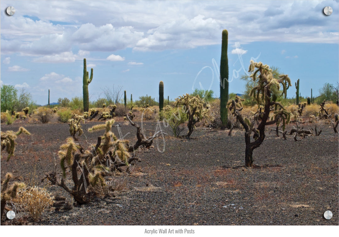 Wall Art: Sonoran Black Sands