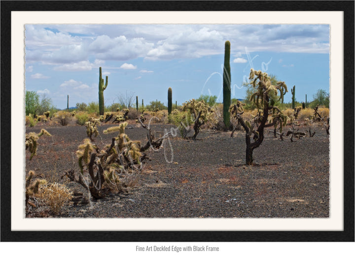 Wall Art: Sonoran Black Sands