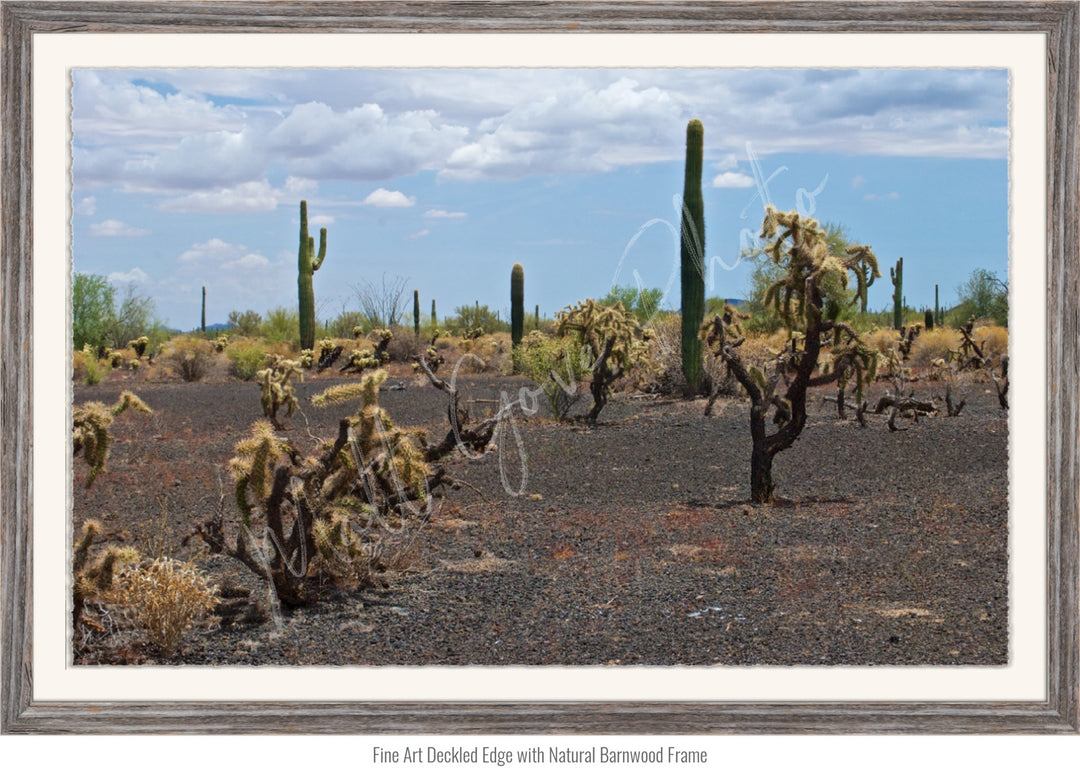 Mexico Wall Art: Sonoran Black Sands