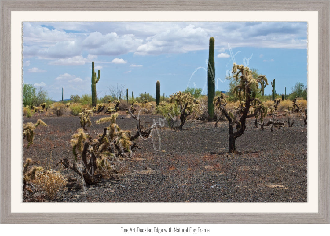 Wall Art: Sonoran Black Sands