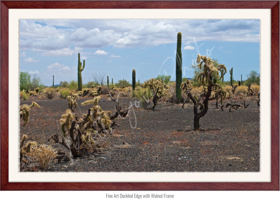 Wall Art: Sonoran Black Sands