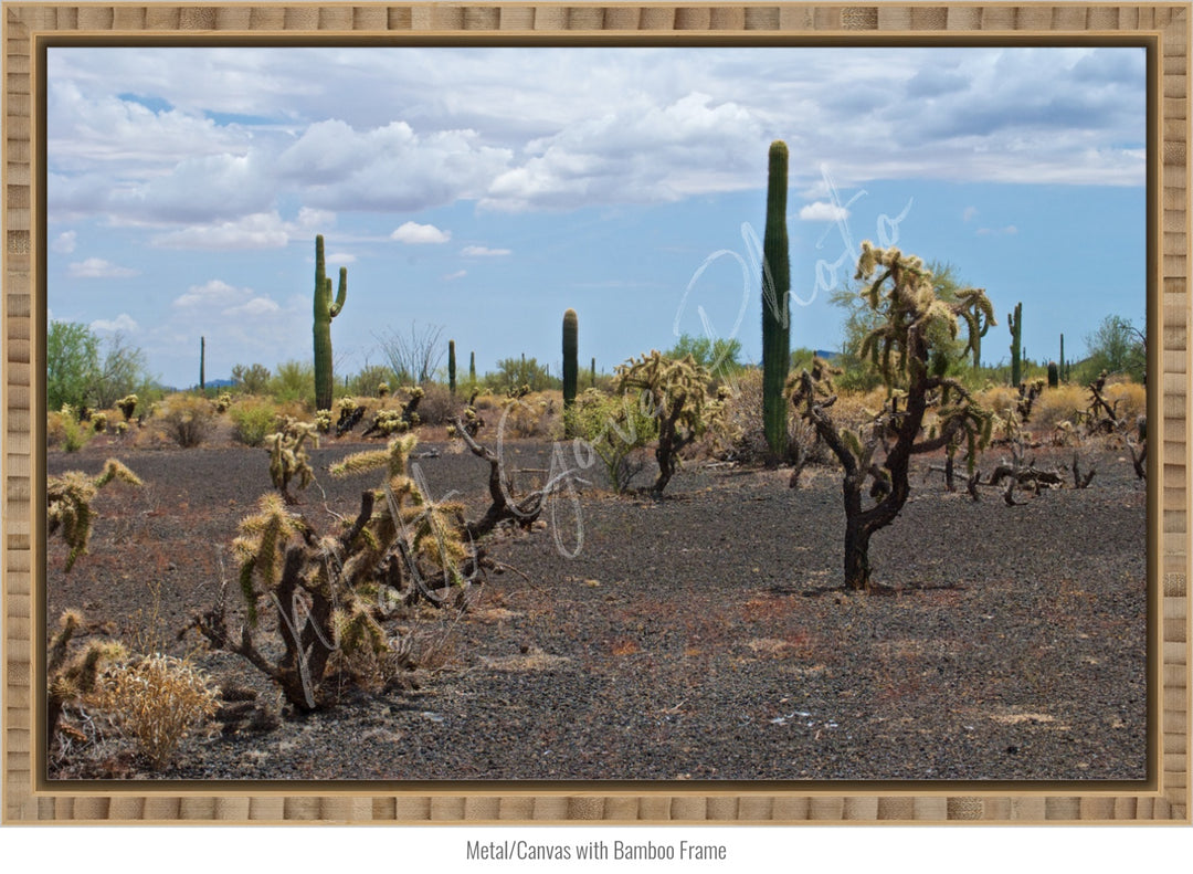 Wall Art: Sonoran Black Sands