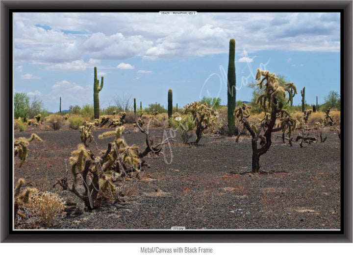 Wall Art: Sonoran Black Sands