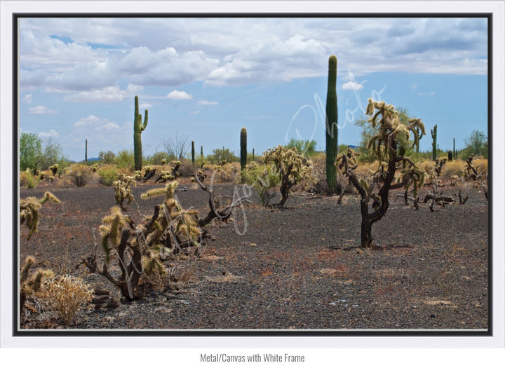 Wall Art: Sonoran Black Sands