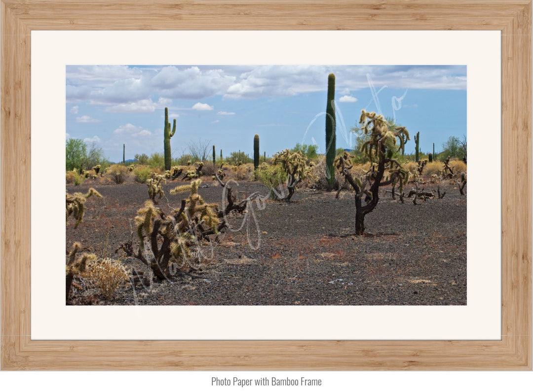 Wall Art: Sonoran Black Sands