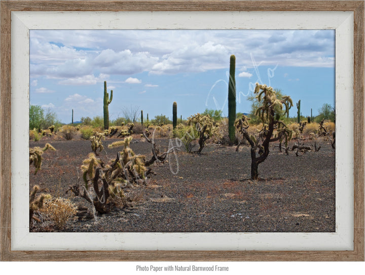 Wall Art: Sonoran Black Sands