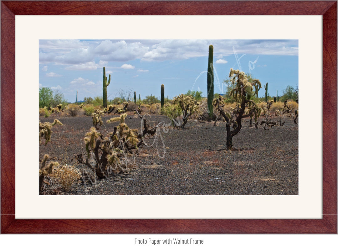 Mexico Wall Art: Sonoran Black Sands