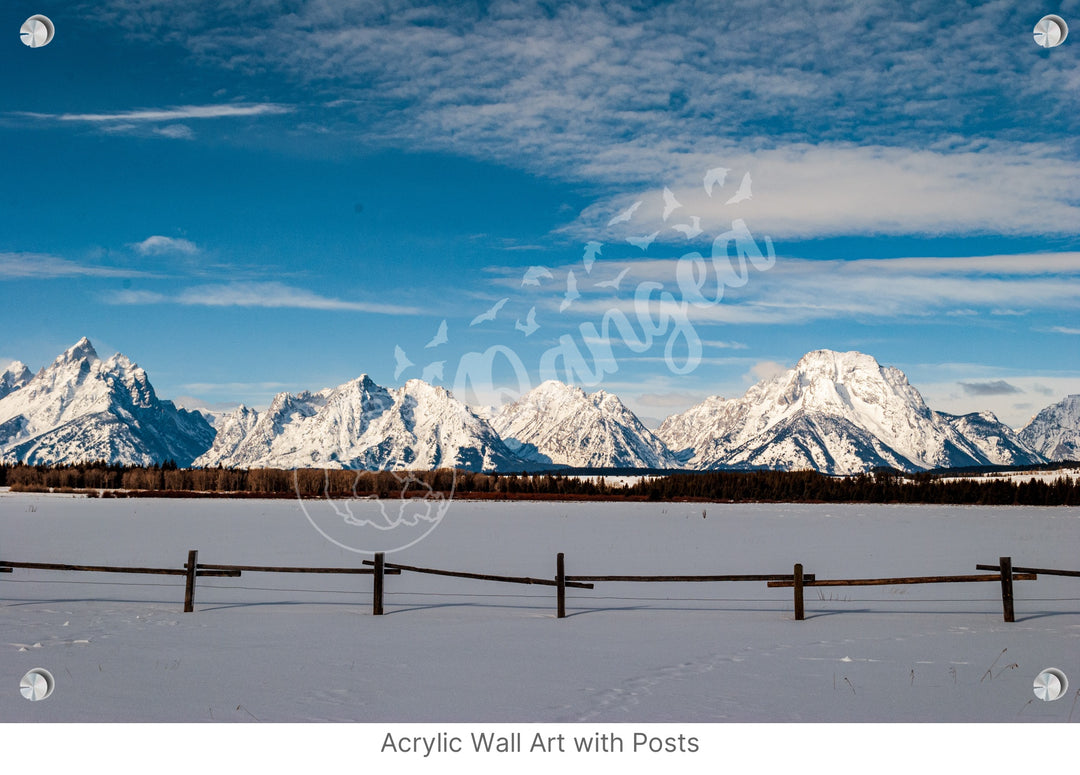 Wall Art: Snowy Morning in the Tetons