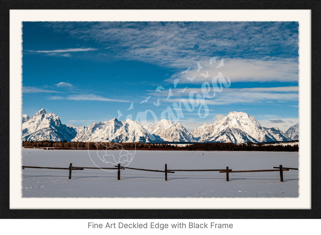 Wall Art: Snowy Morning in the Tetons