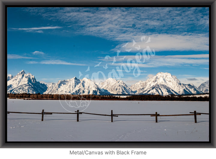 Winter in the Tetons Wall Art