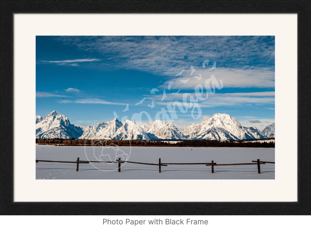 Wall Art: Snowy Morning in the Tetons