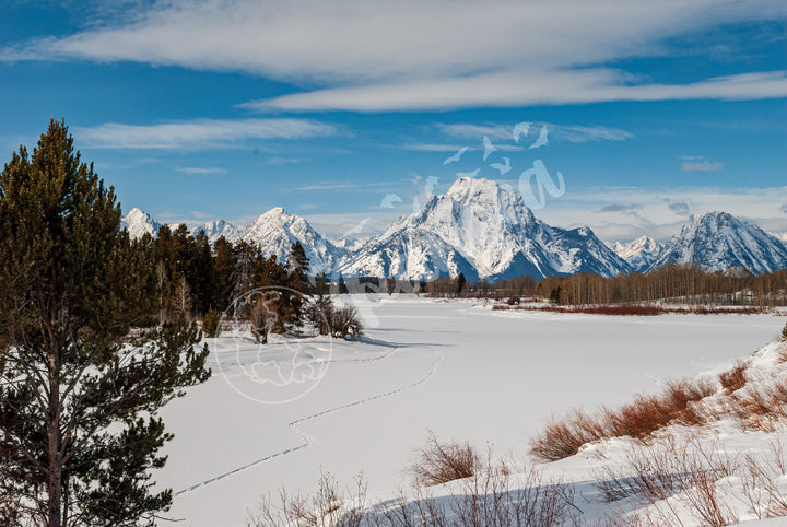 Pristine Grand Teton Snowfall Wall Art