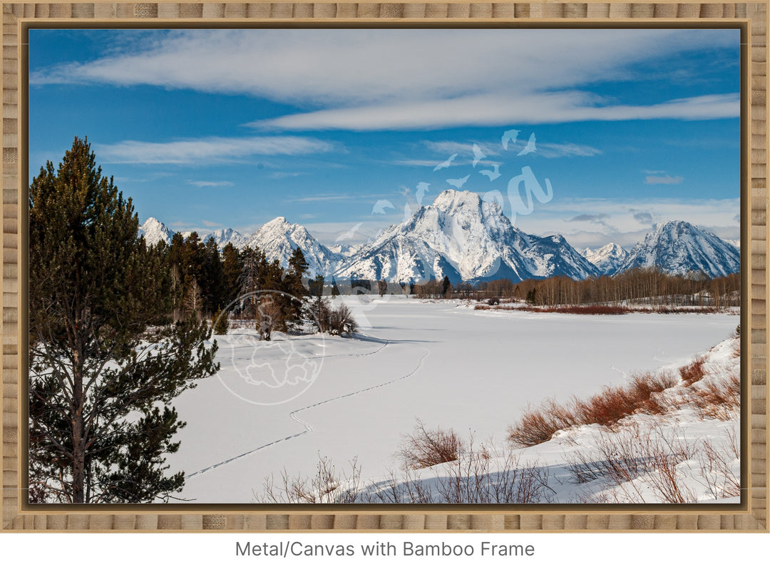 Pristine Grand Teton Snowfall Wall Art