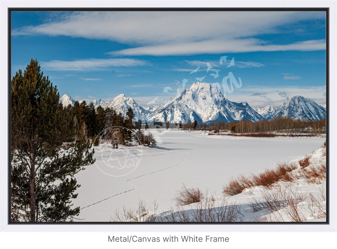 Pristine Grand Teton Snowfall Wall Art