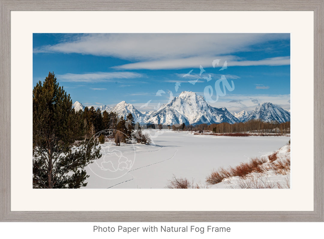 Pristine Grand Teton Snowfall Wall Art