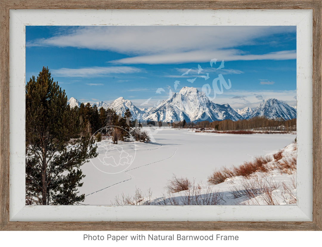 Pristine Grand Teton Snowfall Wall Art