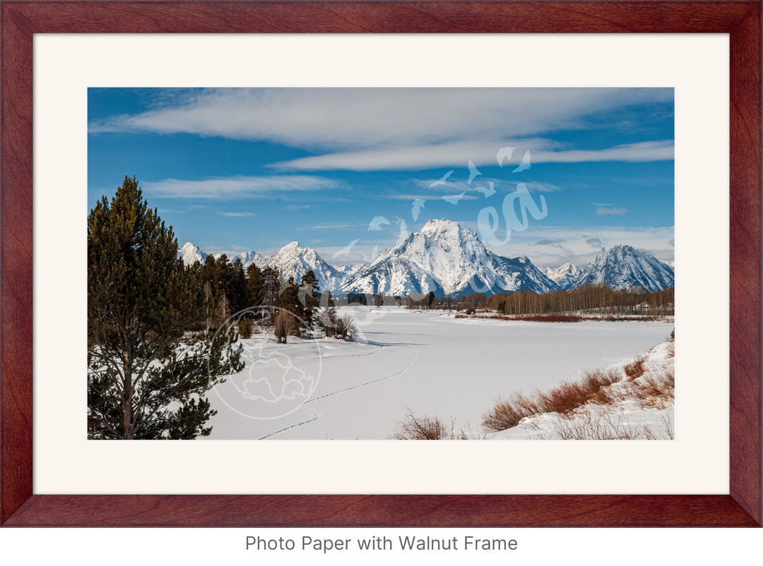 Wall Art: Pristine Serenity in the Tetons