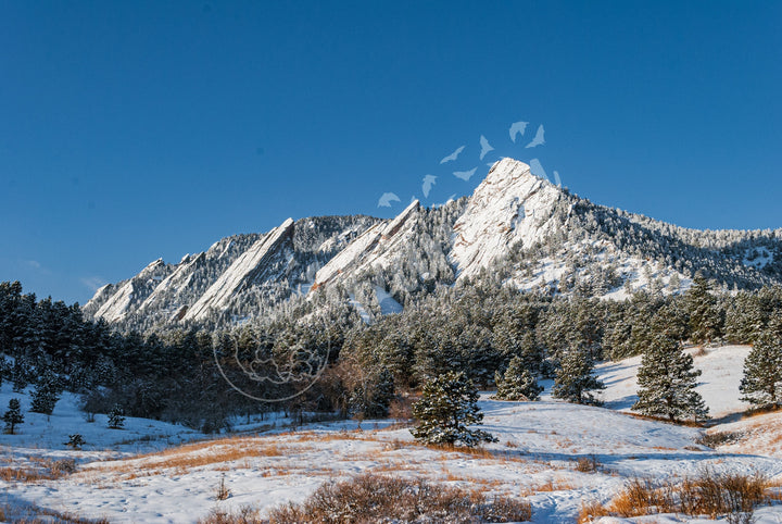 Fresh Dusting of Snow at the Flatirons Wall Art