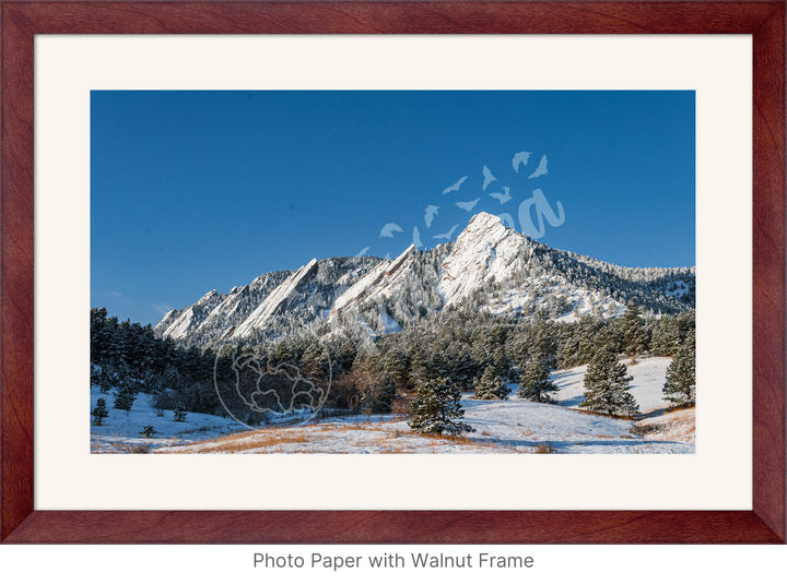 Fresh Dusting of Snow at the Flatirons Wall Art