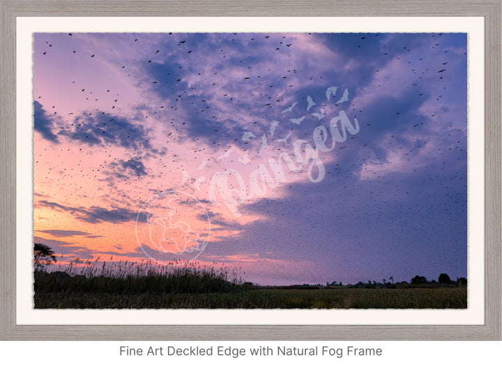 Wall Art: Halloween at the Kasanka Bat Migration