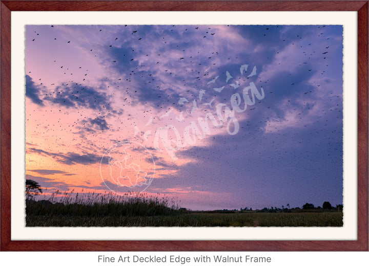 Wall Art: Halloween at the Kasanka Bat Migration