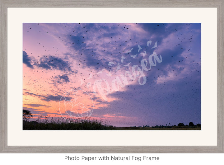 Wall Art: Halloween at the Kasanka Bat Migration