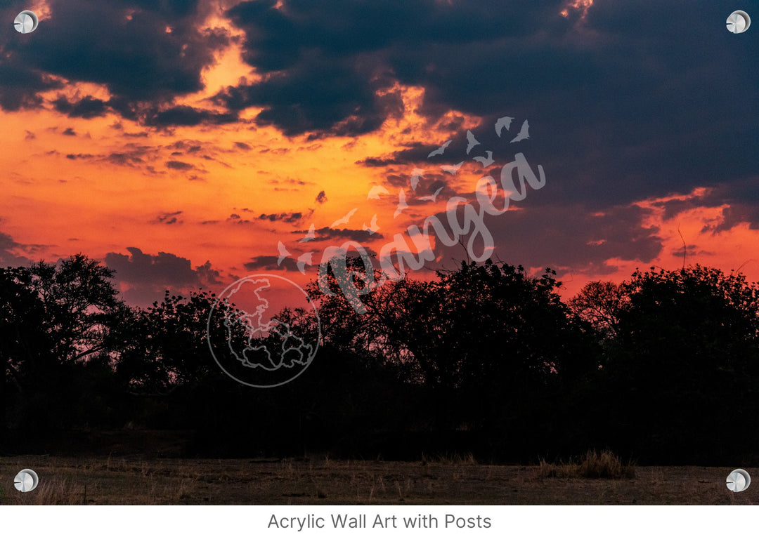 Wall Art: South Luangwa Sunset