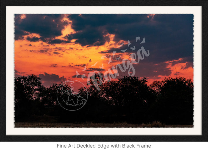 African Safari Wall Art: Brilliant Sunset