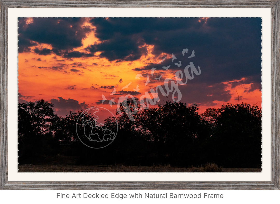 African Safari Wall Art: Brilliant Sunset