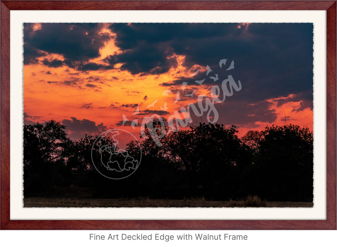 African Safari Wall Art: Brilliant Sunset