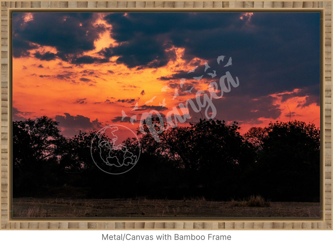 African Safari Wall Art: Brilliant Sunset