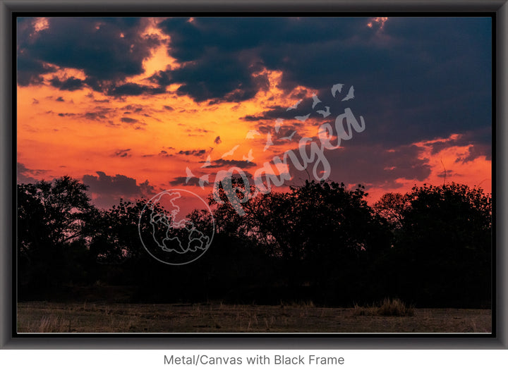 African Safari Wall Art: Brilliant Sunset