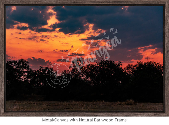 African Safari Wall Art: Brilliant Sunset