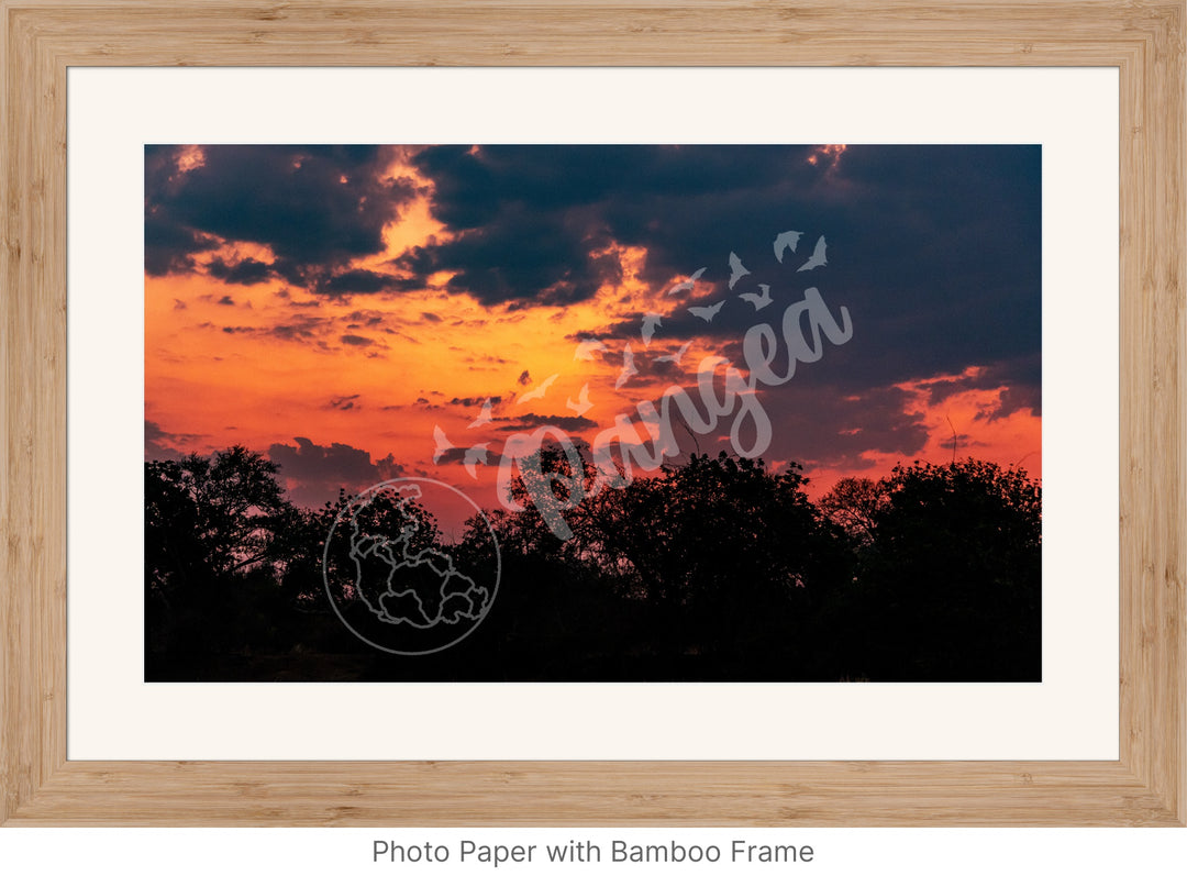 African Safari Wall Art: Brilliant Sunset