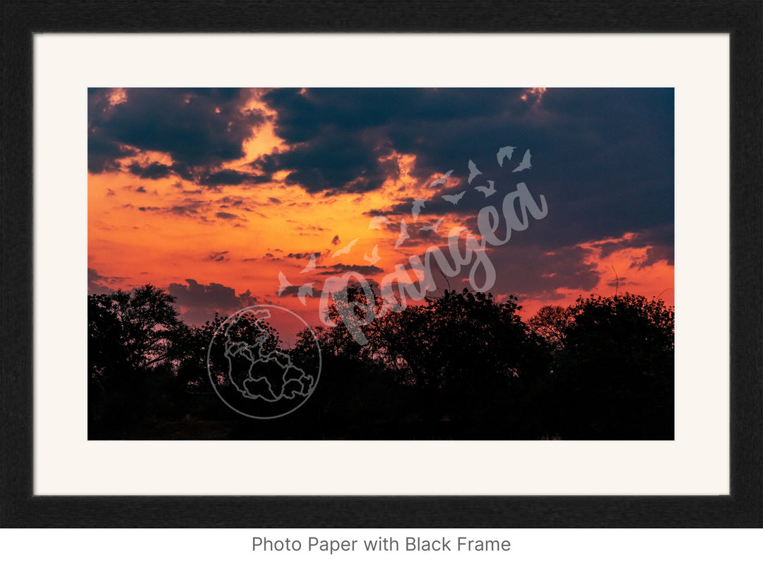 African Safari Wall Art: Brilliant Sunset