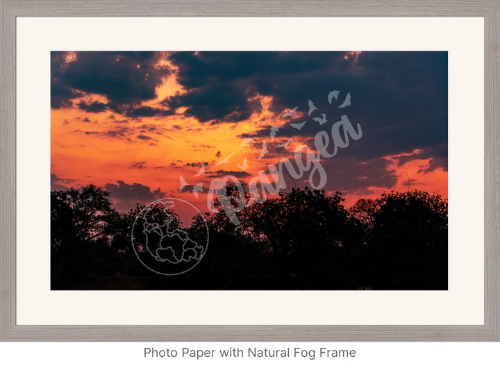 African Safari Wall Art: Brilliant Sunset